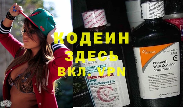 PSILOCYBIN Аркадак